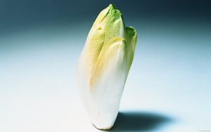 服务常见问题解答合集